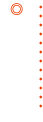 楽しみ方